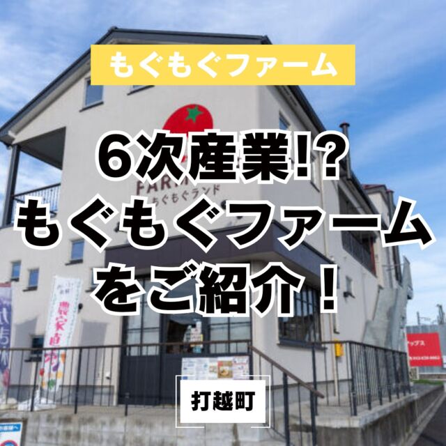【もぐもぐファーム】
もぐもぐファームは八王子の農家👩‍🌾で、野菜の直売や店舗の運営、ワークショップなど多種多様なイベントを行っています🎪
詳しくはプロフィールリンクから☑️
#もぐもぐファーム
#もぐもぐランド
#八王子農家
#八王子イベント
#八王子ゴルフニュース